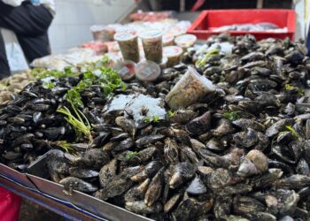 Semana Santa: autoridades regionales realizaron anuncios de fiscalizaciones y reforzaron llamado a comprar en lugares autorizados