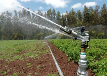 Mujeres agricultoras de Ñuble: CNR lanza curso online gratuito de riego fotovoltaico para fortalecer su autonomía económica
