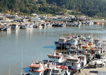 El Senado aprobó el proyecto que fija un nuevo fraccionamiento en el sector pesquero