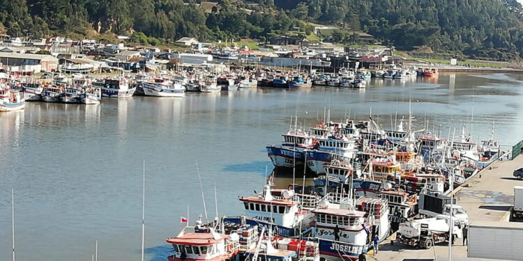 El Senado aprobó el proyecto que fija un nuevo fraccionamiento en el sector pesquero