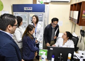 Ñuble se posiciona como referente nacional en campañas de inmunizaciones