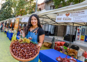 Exitosa gira promocional tuvo la Fiesta de la Castaña El Carmen 2025 en Chillán y Santiago