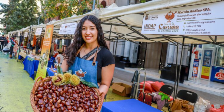 Exitosa gira promocional tuvo la Fiesta de la Castaña El Carmen 2025 en Chillán y Santiago