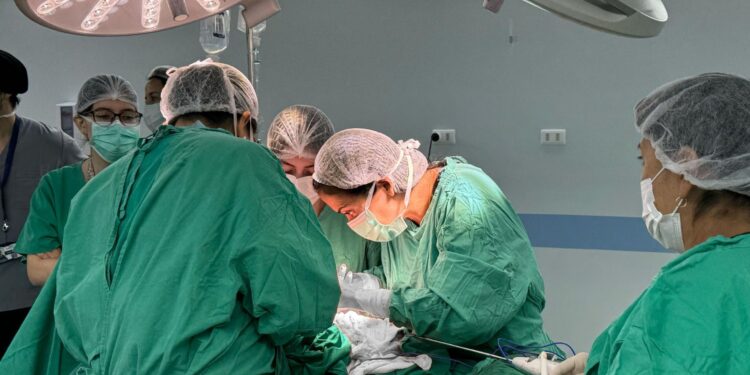 Equipo de cirugía plástica del Hospital de Chillán trata exitosamente hernias gigantes