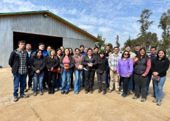 Última semana para postular a “Mi primer negocio rural”, iniciativa de Indap dirigida a jóvenes