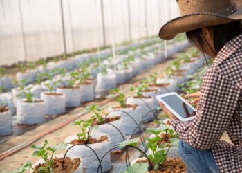 Corfo lanza Red de Fomento Sostenible para modernizar el agro de Maule y Ñuble con tecnologías digitales