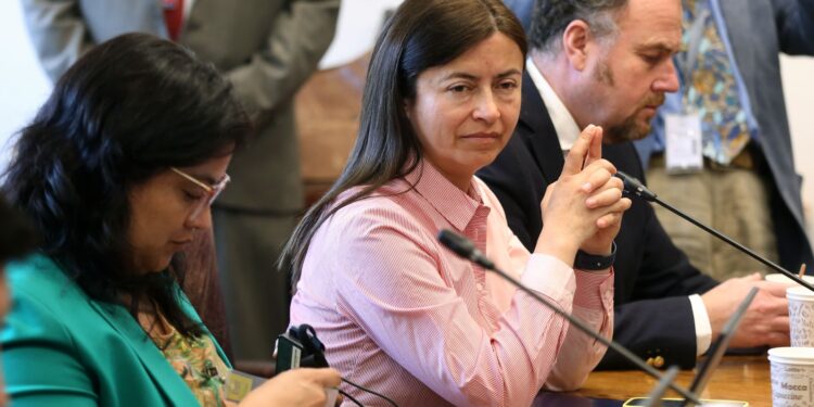 Diputada Marta Bravo llama a destrabar proyecto que busca promover el envejecimiento positivo y fortalecer los derechos de los adultos mayores