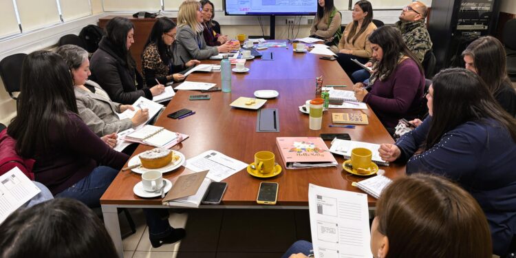 MINVU Y SERNAMEG Ñuble trabajan por atender carencia habitacional de mujeres víctimas de VIF