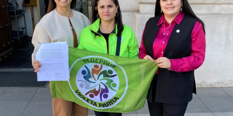 Diputadas Sara Concha y Marta Bravo entregan carta en La Moneda solicitando bono permanente para funcionarios de la APS de Ñuble