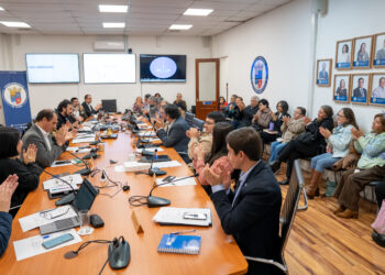 Consejo Regional aprueba recursos para la ampliación de servicios sanitarios del sector Monterrico de Chillán