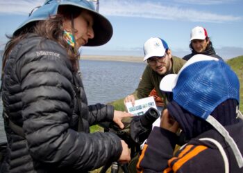 Día Mundial de las Aves Migratorias: Seremi del Medio Ambiente reafirma su compromiso con la protección de estas especies y sus hábitats
