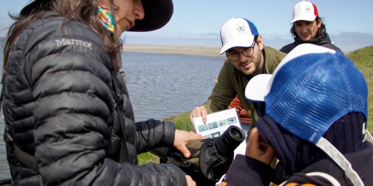 Día Mundial de las Aves Migratorias: Seremi del Medio Ambiente reafirma su compromiso con la protección de estas especies y sus hábitats