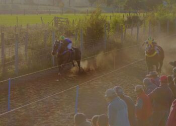 El Carmen define ordenanza para regular las carreras a la chilena