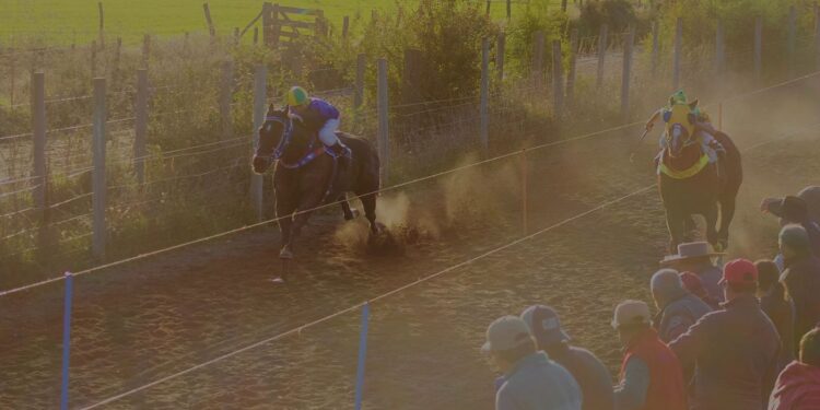 El Carmen define ordenanza para regular las carreras a la chilena