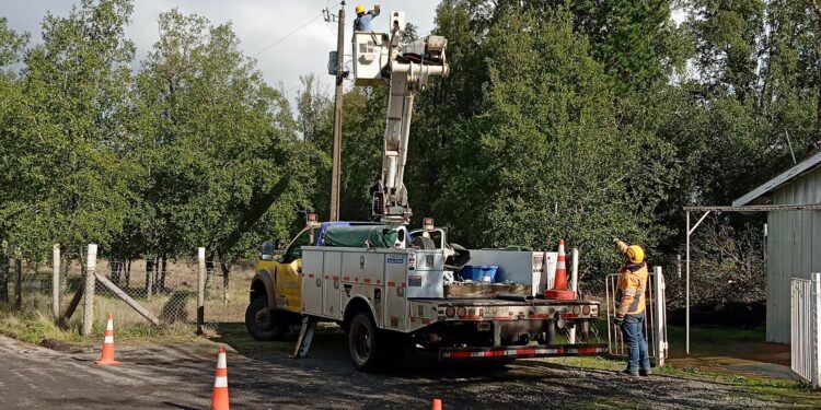 Tras paso de temporal Frontel mantiene normalidad del suministro eléctrico para el 98% de sus clientes en la región de Ñuble