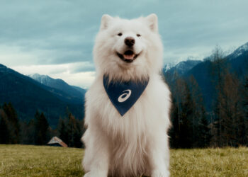 El 65% de los dueños de perros se ejercita más gracias a su mascota