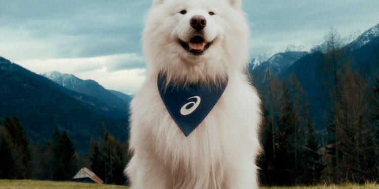 El 65% de los dueños de perros se ejercita más gracias a su mascota