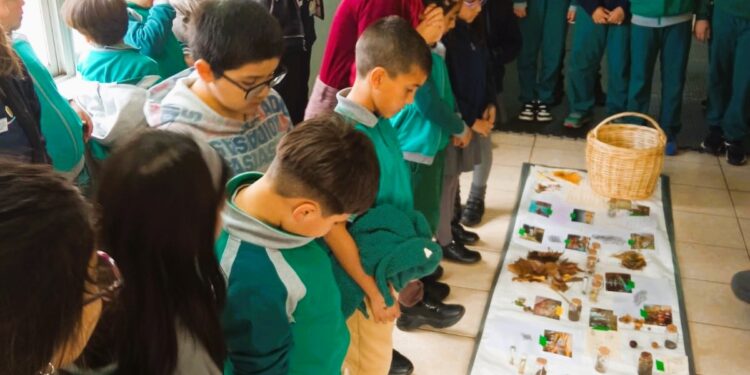 Santa Bárbara y Tirúa se suman con fuerza a la Semana de la Educación Artística en Biobío