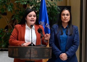 Diputada Sara Concha (PSC) impulsa proyecto para erradicar el abuso sexual y el maltrato infantil en Chile