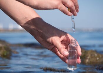 Especialista advierte sobre riesgos de consumir agua de mar y desmiente su supuesta eficacia contra el cáncer