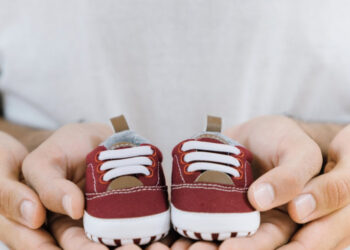 Más de 220 mil subsidios maternales fueron otorgados en 2024