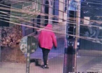 Detienen a Sujeto por robo en  Paseo Las Palmas