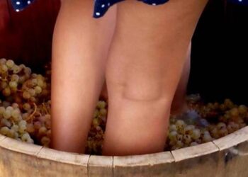 Este 3 de mayo se realizará una Fiesta de Cierre de Vendimia en Viña Prado Portezuelo