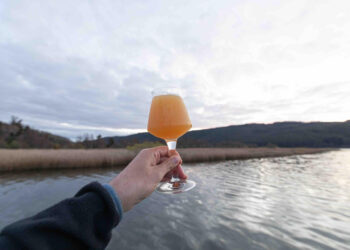 REGIÓN DE LOS RÍOS SE CONSOLIDA COMO CAPITAL CERVECERA MUNDIAL CON LA COPA CERVEZAS DE AMÉRICA 2025