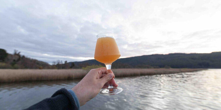 REGIÓN DE LOS RÍOS SE CONSOLIDA COMO CAPITAL CERVECERA MUNDIAL CON LA COPA CERVEZAS DE AMÉRICA 2025