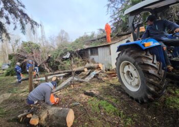 Tres días sin electricidad: El Carmen suma 1.880 familias afectadas