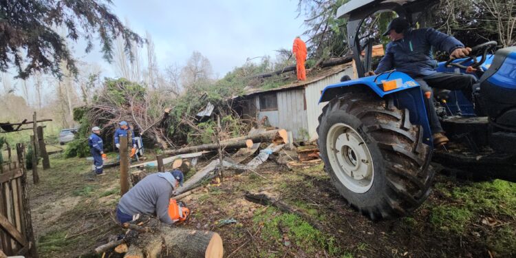 Tres días sin electricidad: El Carmen suma 1.880 familias afectadas