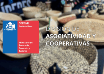 Cooperativismo: El motor sostenible que impulsa la economía de Ñuble y combate la desigualdad