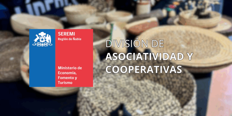 Cooperativismo: El motor sostenible que impulsa la economía de Ñuble y combate la desigualdad
