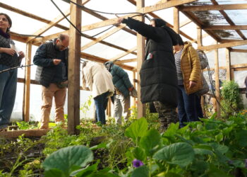 Encuentro agroecológico conectó a barrios de Ñuble