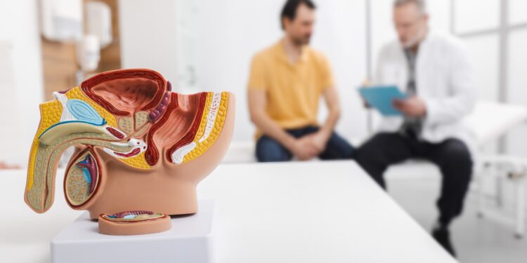 113 personas han sido diagnosticadas a través del GES por cáncer de próstata en Ñuble este año