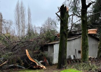 25 viviendas afectadas y una con destrucción total suma El Carmen tras sistema frontal