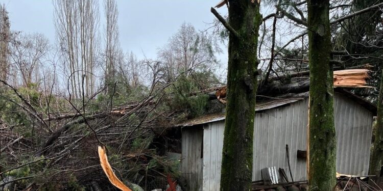 25 viviendas afectadas y una con destrucción total suma El Carmen tras sistema frontal
