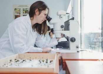 Chillán será sede de evento que abordará cómo la innovación y la biodiversidad pueden transformar la agricultura