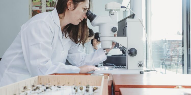 Chillán será sede de evento que abordará cómo la innovación y la biodiversidad pueden transformar la agricultura