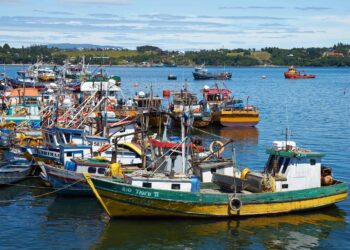 Ley de Fraccionamiento Pesquero: Un hito para la pesca artesanal de Chile