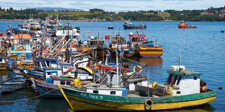 Ley de Fraccionamiento Pesquero: Un hito para la pesca artesanal de Chile