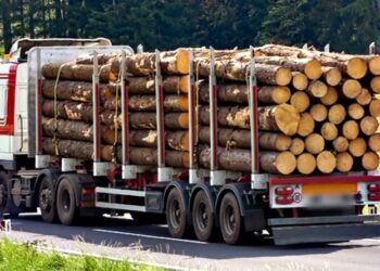 Tres Antisociales detenidos por robo de madera y por agredir a carabineros en Ñuble