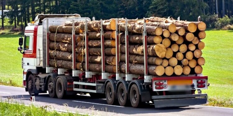 Tres Antisociales detenidos por robo de madera y por agredir a carabineros en Ñuble