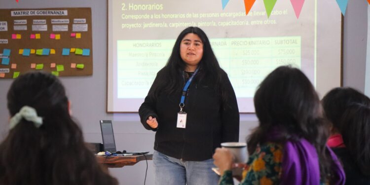 Seremi de Gobierno capacitó a nuevos profesionales de Servicio País en formulación de proyectos