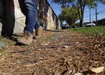 Semana clave para gran proyecto de veredas en población Kennedy de Chillán