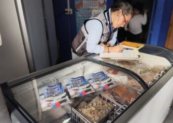 Seremi de Salud cumple 100% con plazos para autorizar instalaciones de alimentos en Ñuble