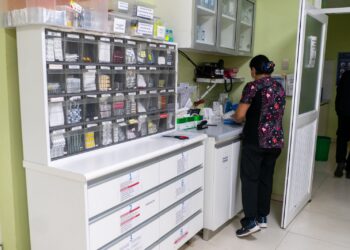 GES: Los 6 problemas de salud con mayores ingresos en la Red Asistencial de Ñuble