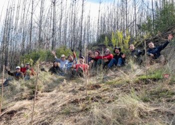 Comunidades lideran control de especies exóticas invasoras para recuperar paisajes post incendio en Quillón y Ránquil