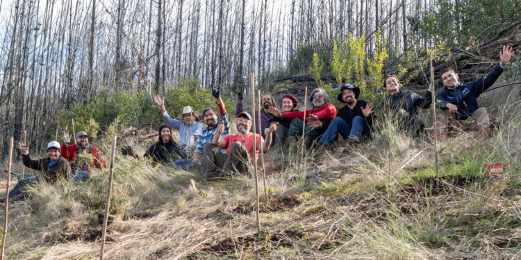 Comunidades lideran control de especies exóticas invasoras para recuperar paisajes post incendio en Quillón y Ránquil