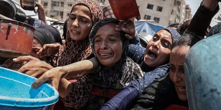 El hambre como arma letal contra  La Franja de Gaza